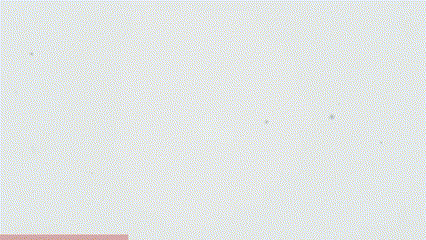 Snow Dream Studios site motion detail